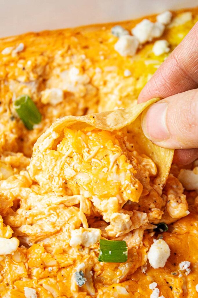 Buffalo Chicken Dip Filling and Fabulous