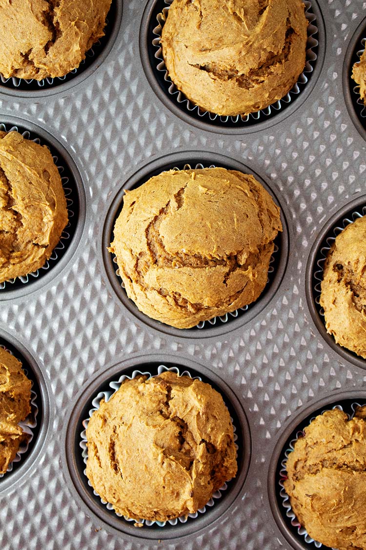 overhead view of 2 ingredient pumpkin muffins baked and cooling off